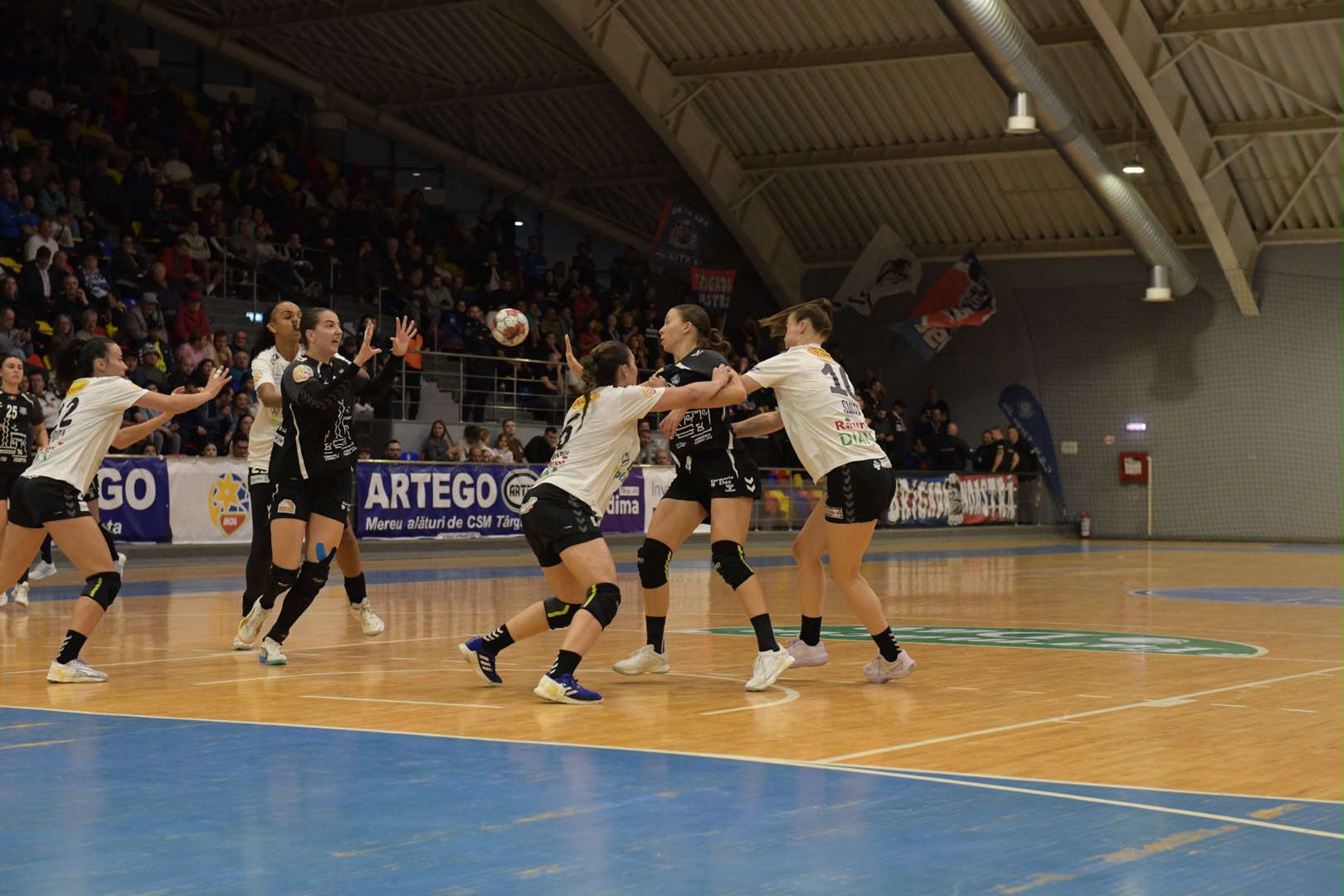 CSM Târgu Jiu pierde acasă în runda a 7-a din Liga Florilor. CSM Târgu Jiu -SCM Râmnicu Vâlcea 23-31